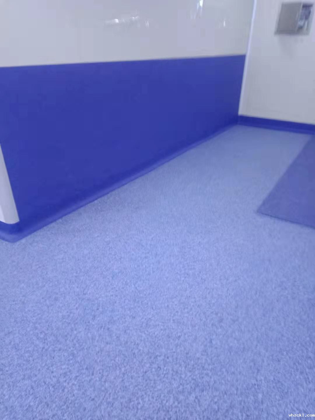 大连泰阳水产食品有限公司